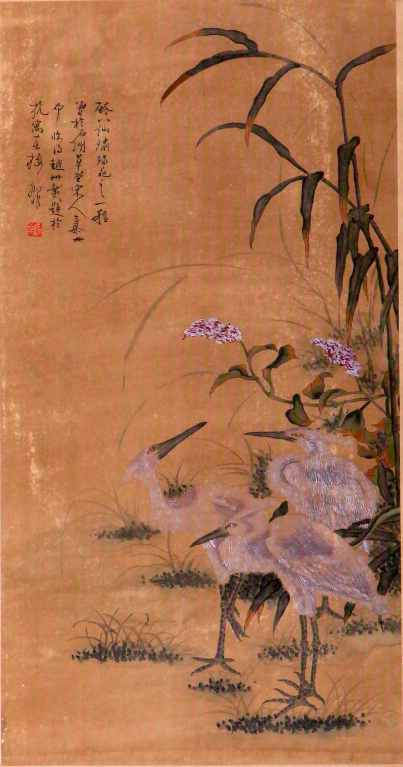 1605185_為非_蘆花白鹿